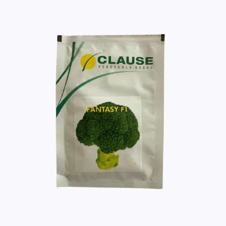 Clause Fantasy F1 Hybrid Broccoli Seeds