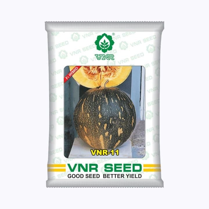 VNR 11 F1 ಹೈಬ್ರಿಡ್ ಕುಂಬಳಕಾಯಿ ಬೀಜಗಳು