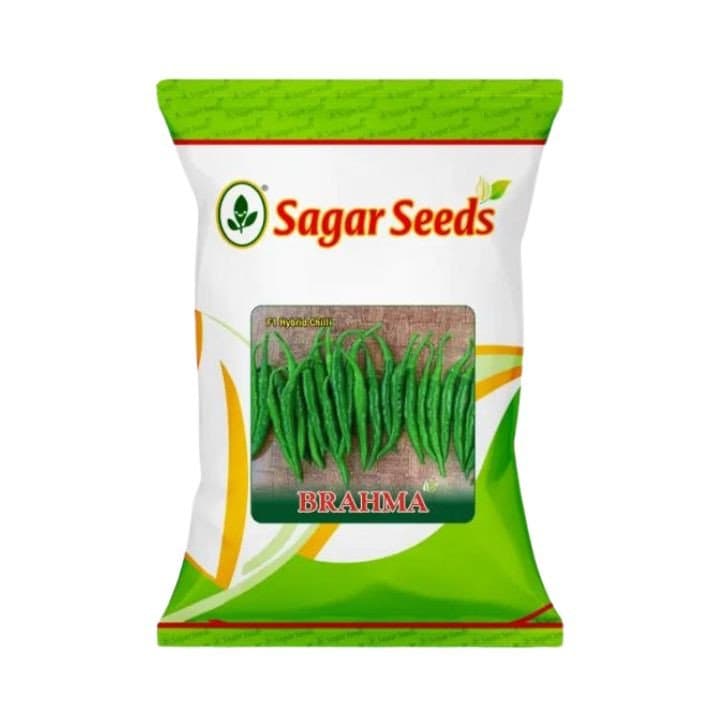 Sagar Brahma F1 Chilli Hybrid Seeds