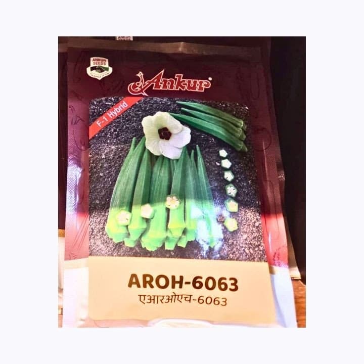 ಅಂಕುರ್ AROH-6063 F1 ಹೈಬ್ರಿಡ್ ಬೆಂಡೆಕಾಯಿ (ಭಿಂಡಿ) ಬೀಜಗಳು