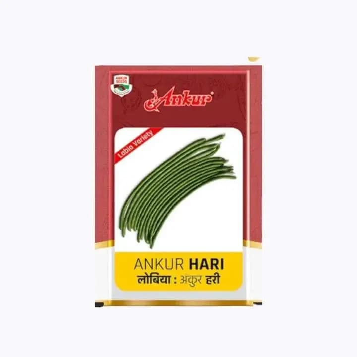 അങ്കുർ ഹരി ലോബിയ വിത്തുകൾ