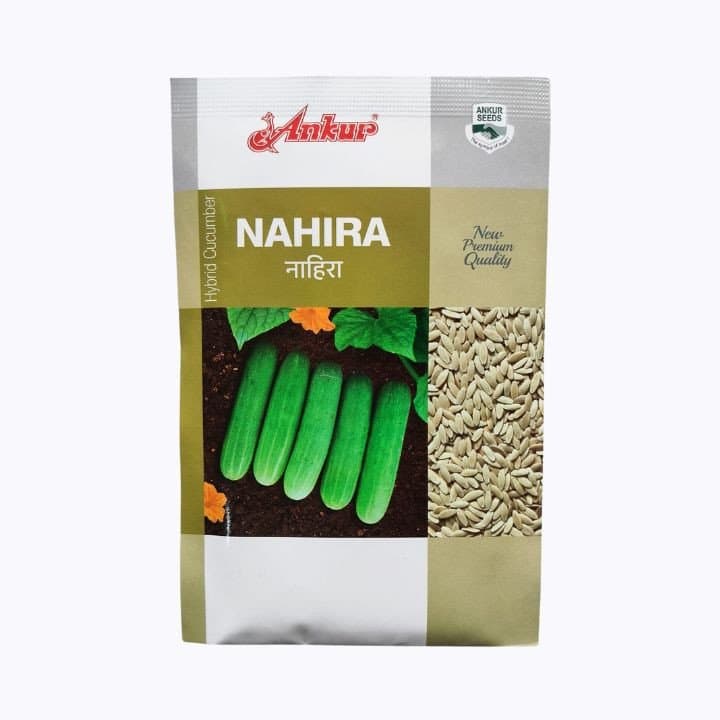 ಅಂಕುರ್ ನಹಿರಾ F1 ಹೈಬ್ರಿಡ್ ಸೌತೆಕಾಯಿ ಬೀಜಗಳು