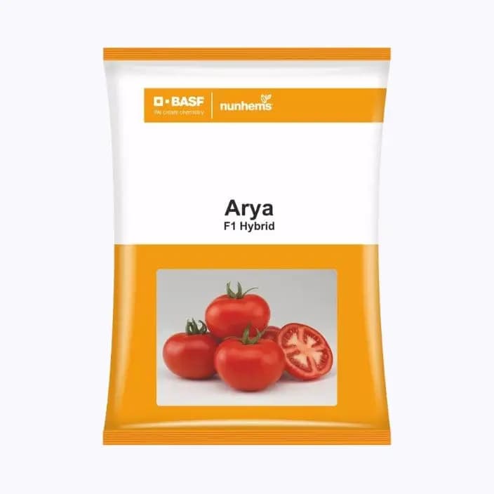 BASF ननहेम्स आर्या टोमॅटो बियाणे