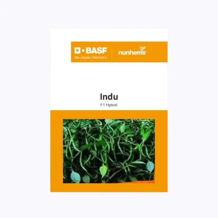 बीएएसएफ ननहेम्स इंदू मिरची बियाणे