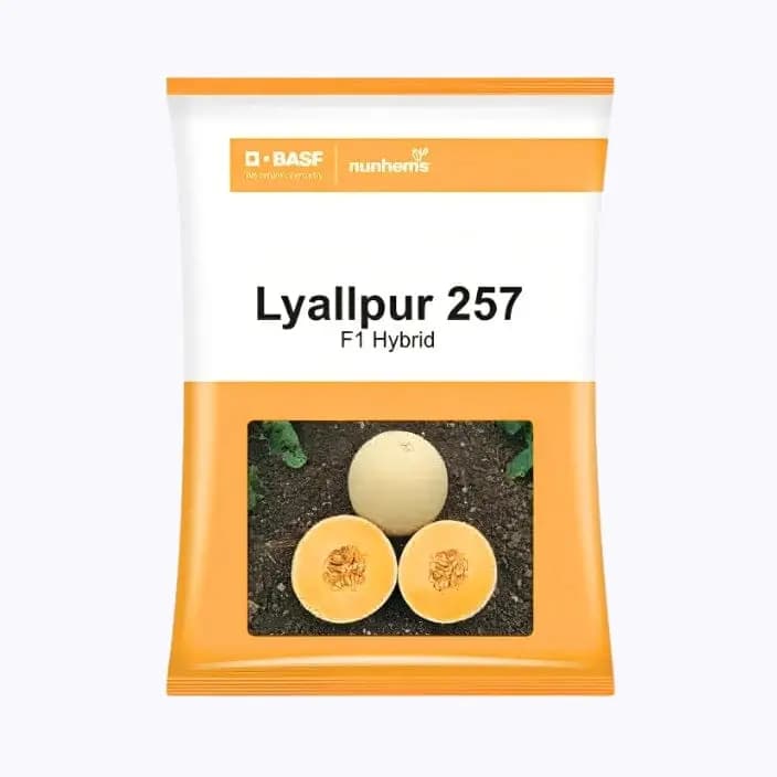 BASF నన్‌హెమ్స్ లయల్‌పూర్ 257 కర్బూజా విత్తనాలు