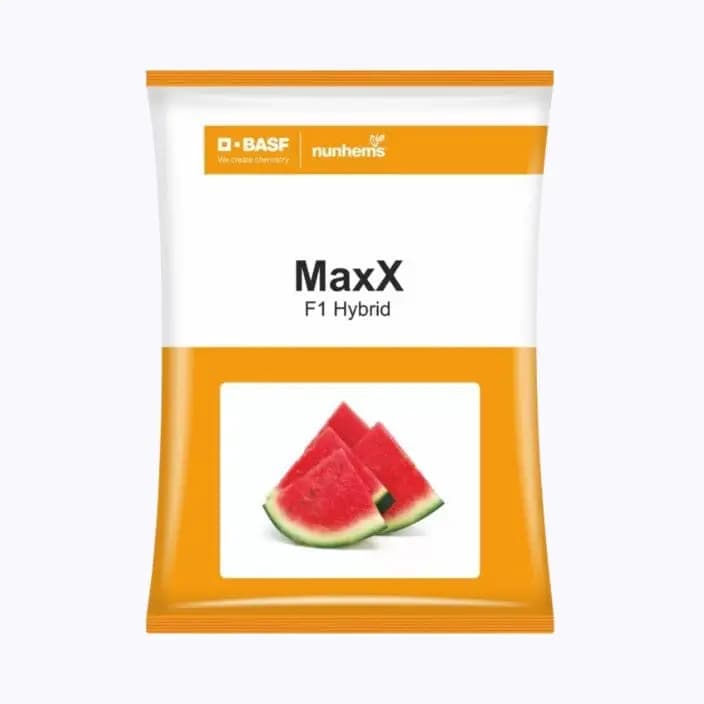BASF నన్‌హెమ్స్ మాక్స్ పుచ్చకాయ విత్తనాలు