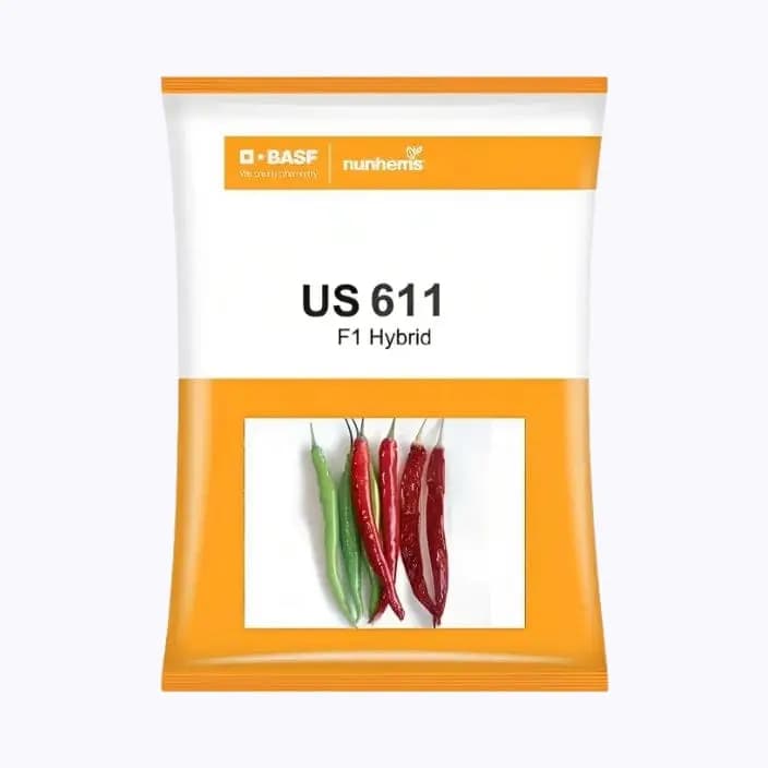 BASF నన్‌హెమ్స్ US 611 మిరప విత్తనాలు