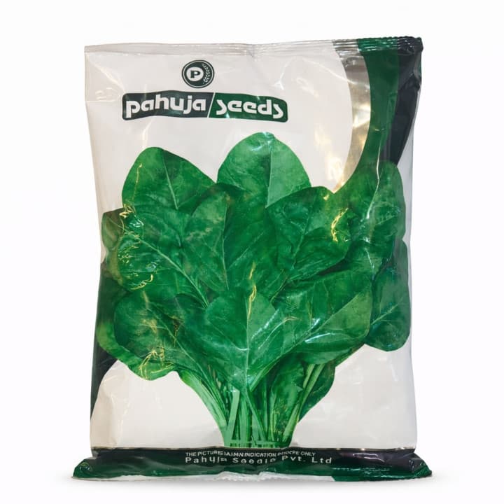 Pahuja Spinach Seeds (Palak Seeds)