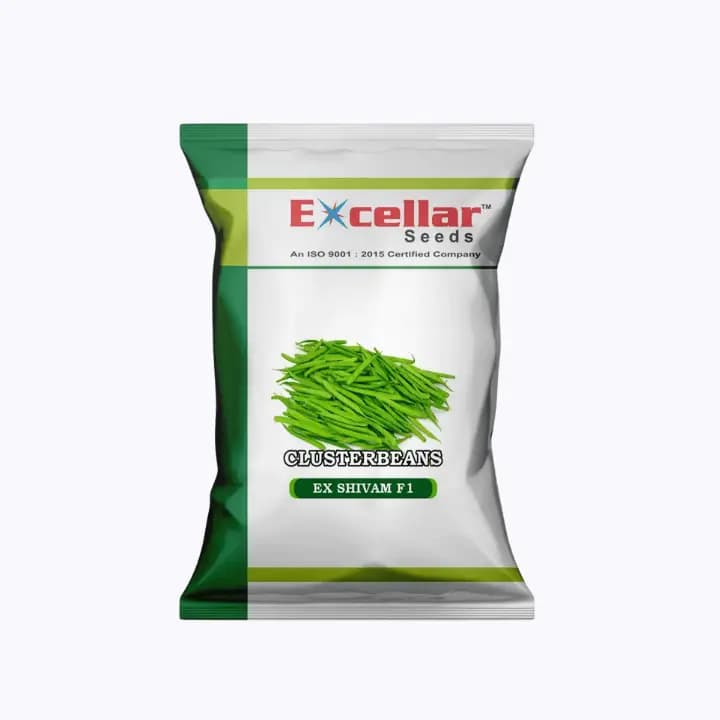 Excellar EX Shivam Cluster Bean Seeds