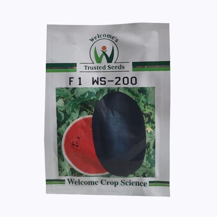 ವೆಲ್ಕಮ್ ಕ್ರಾಪ್ F1 WS-200 ಹೈಬ್ರಿಡ್ ಕಲ್ಲಂಗಡಿ ಬೀಜಗಳು