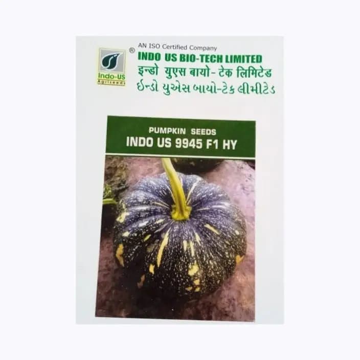 ಇಂಡೋ-ಅಸ್ 9945 ಕುಂಬಳಕಾಯಿ ಬೀಜಗಳು