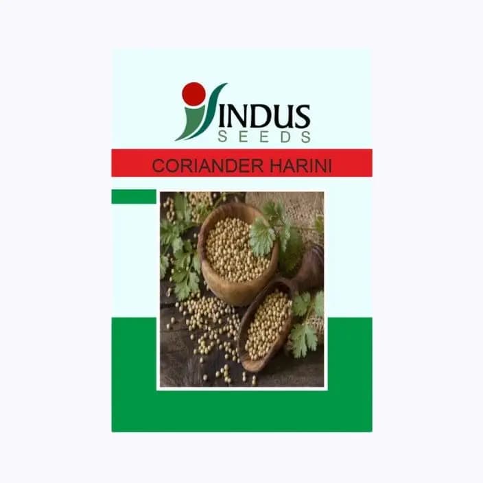 सिंधु हरिणी धनिया के बीज