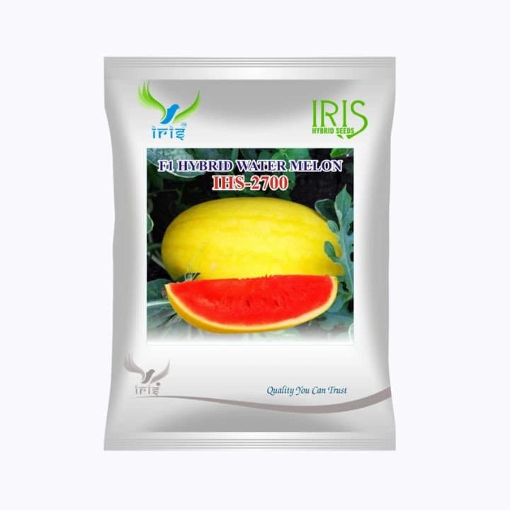 ஐரிஸ் IHS-2700 F1 கலப்பின தர்பூசணி விதைகள்