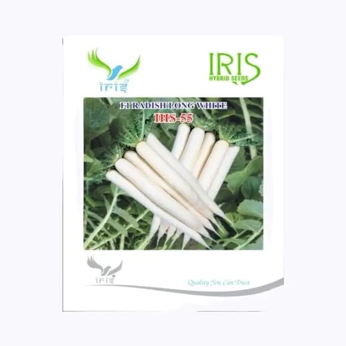 ഐറിസ് മിനോ ഏർലി IHS-55 റാഡിസ് വിത്തുകൾ