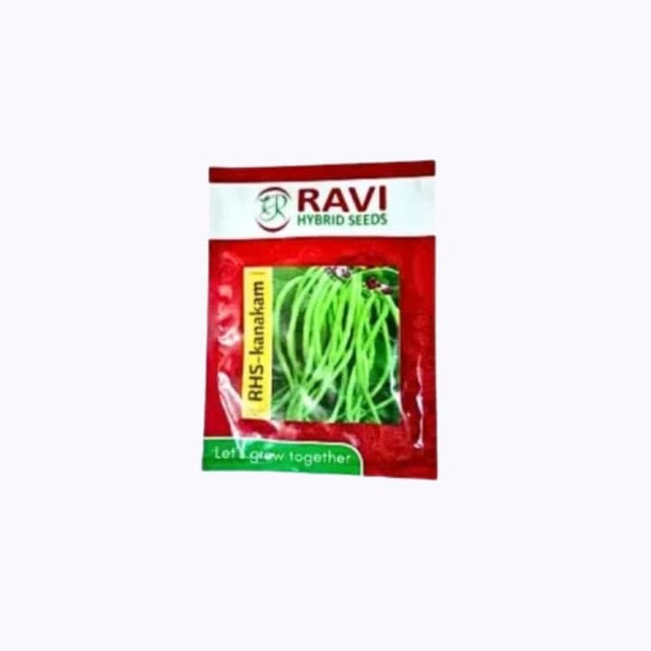 Ravi RHS-Kanakam Hybrid Beans Seeds