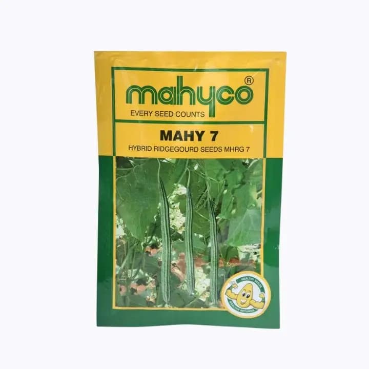 महिको माहि ७ दोडक्याच्या बिया
