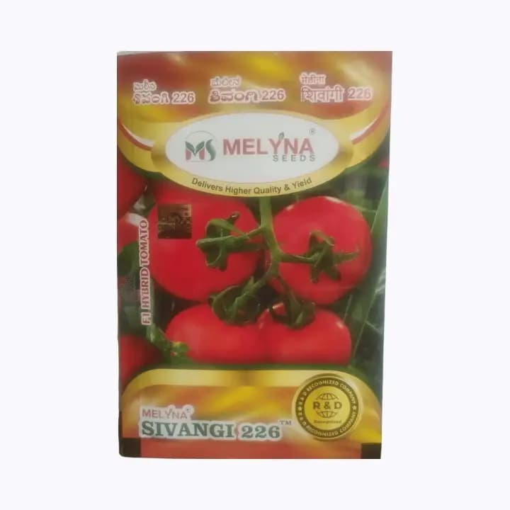മെലിന ശിവാംഗി 226 തക്കാളി വിത്തുകൾ