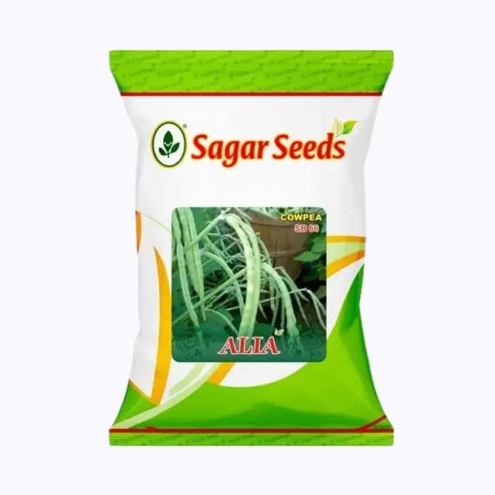 സാഗർ ആലിയ F1 ഹൈബ്രിഡ് പയർ വിത്തുകൾ