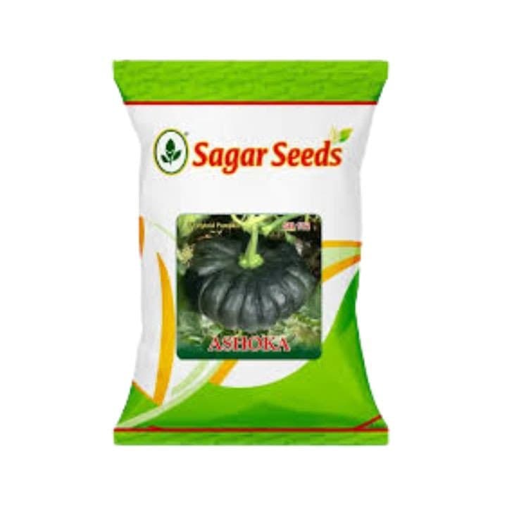 ಸಾಗರ್ ಅಶೋಕ ಕುಂಬಳಕಾಯಿ ಬೀಜಗಳು