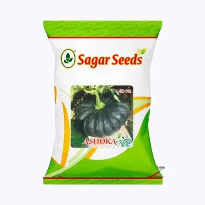 ಸಾಗರ್ ಅಶೋಕ F1 ಪಮ್ಬ್ಕಿನ್