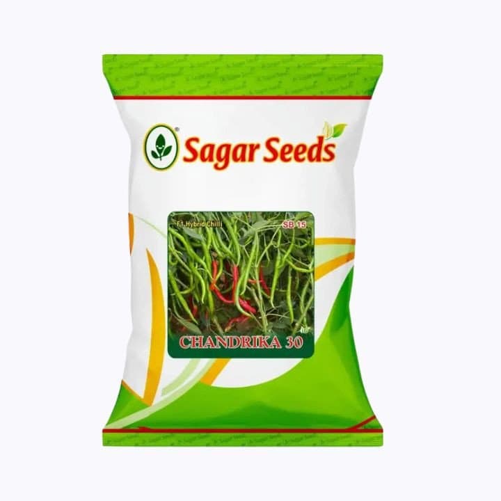 Sagar Chandrika 30 Chilli (Mirchi) Seeds