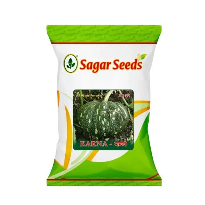 ಸಾಗರ್ ಕರ್ಣ ಕುಂಬಳಕಾಯಿ ಬೀಜಗಳು