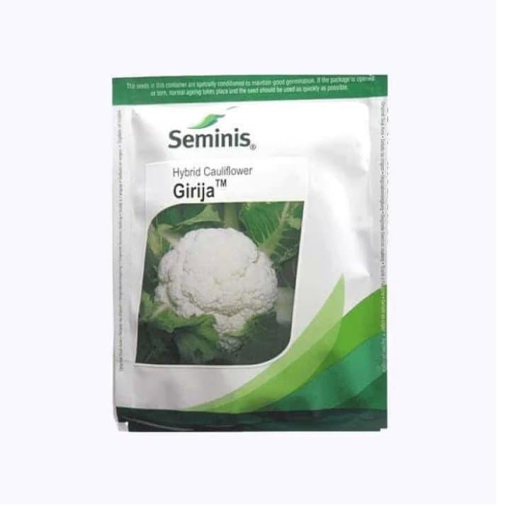 Seminis Girija Cauliflower Seeds