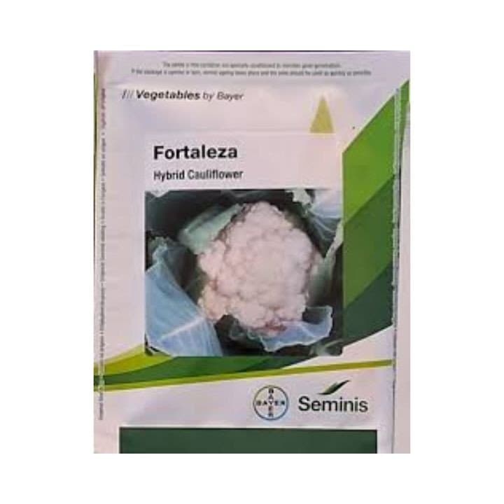 Bayer Seminis Fortaleza Hybrid Cauliflower Seeds