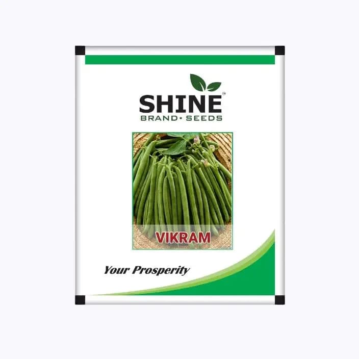 Shine Vikram Beans Seeds