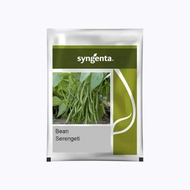 Syngenta Beans Serengeti