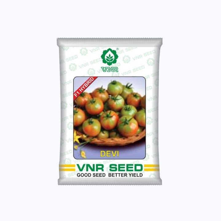விஎன்ஆர் தக்காளி தேவி கலப்பின விதைகள்
