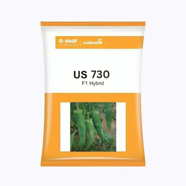 నున్‌హెమ్స్ US 730 F1 మిరప విత్తనాలు