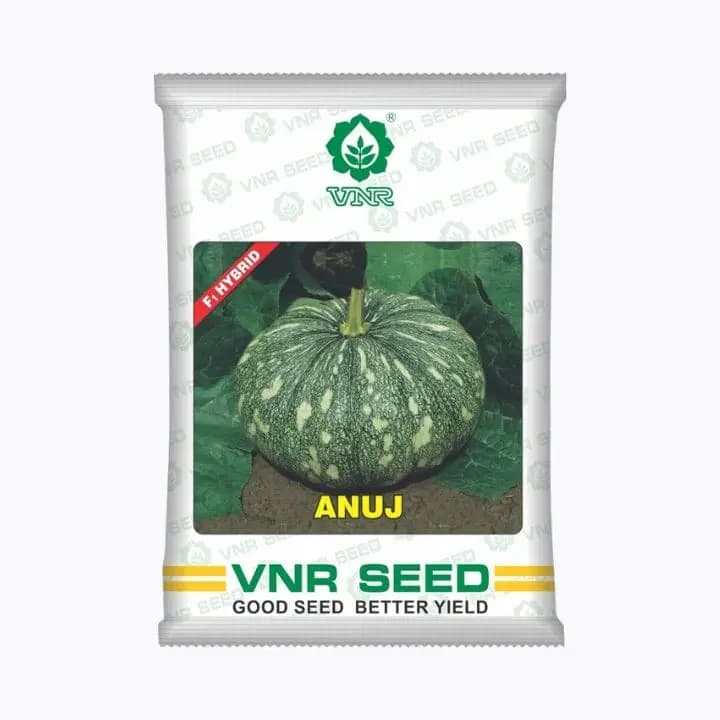 ವಿಎನ್ಆರ್ ಅನುಜ್ ಕುಂಬಳಕಾಯಿ ಬೀಜಗಳು