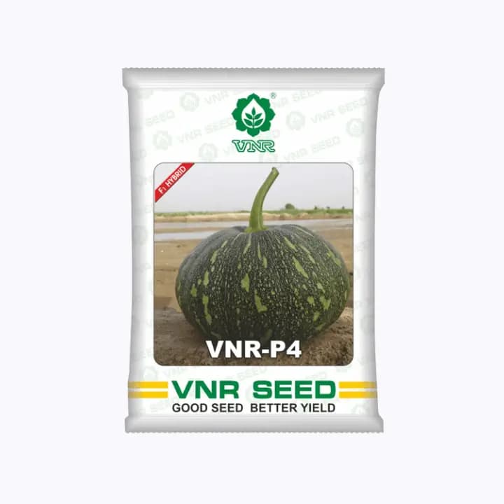 VNR P4 F1 ಹೈಬ್ರಿಡ್ ಕುಂಬಳಕಾಯಿ ಬೀಜಗಳು
