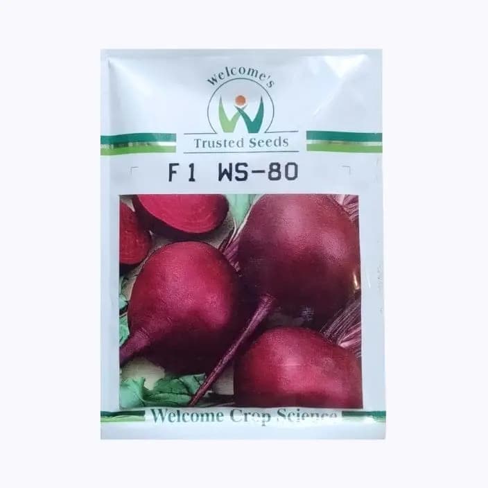 F1 WS-80 ಬೀಟ್‌ರೂಟ್ ಬೀಜಗಳಿಗೆ ಸ್ವಾಗತ.
