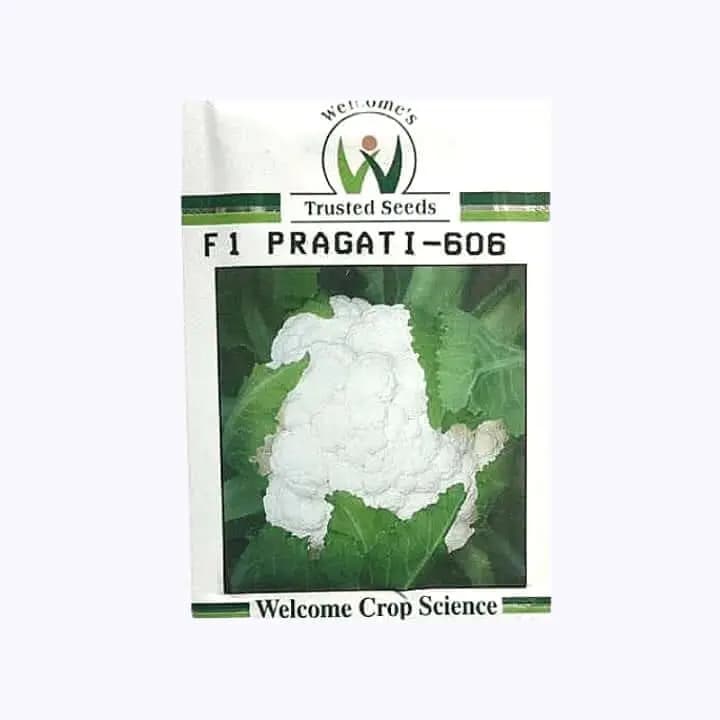 ಸ್ವಾಗತ ಪ್ರಗತಿ 606 ಹೂಕೋಸು ಬೀಜಗಳು