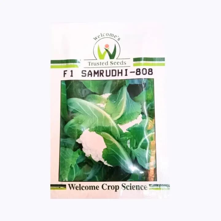 ಸಮೃದ್ಧಿ-808 ಹೂಕೋಸು ಬೀಜಗಳನ್ನು ಸ್ವಾಗತಿಸಿ