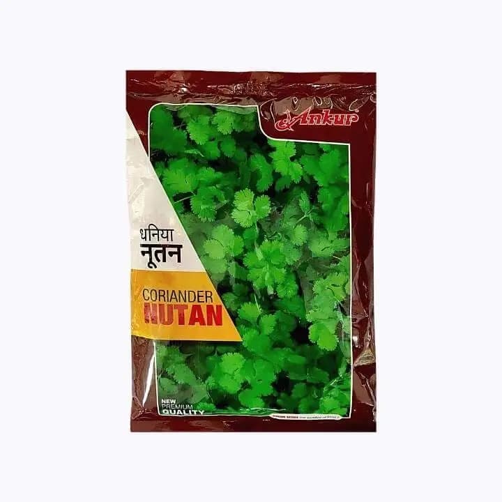 अंकुर नूतन धनिया के बीज