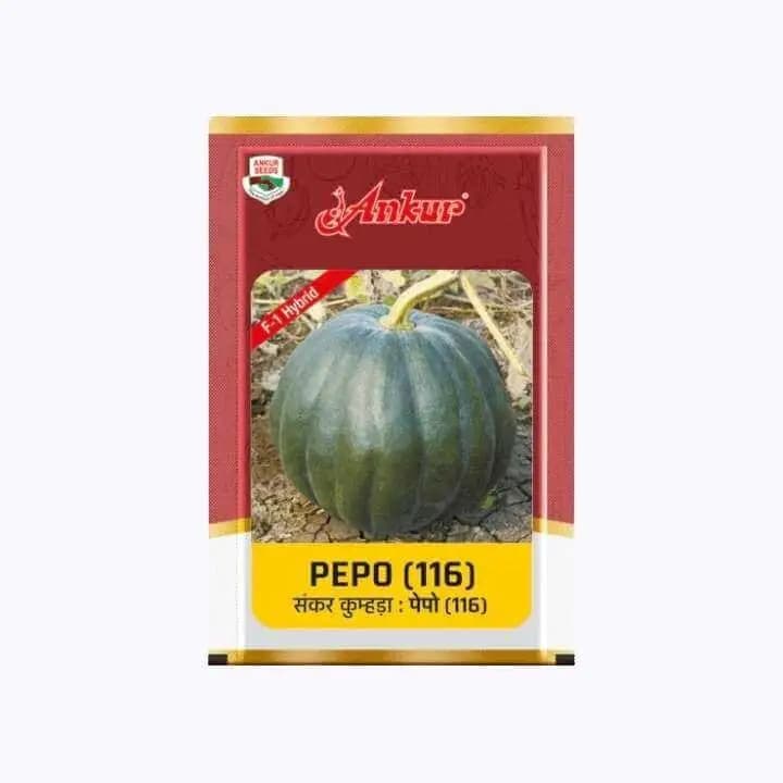 ಅಂಕುರ್ ಪೆಪೋ (116) F1 ಹೈಬ್ರಿಡ್ ಕುಂಬಳಕಾಯಿ ಬೀಜಗಳು
