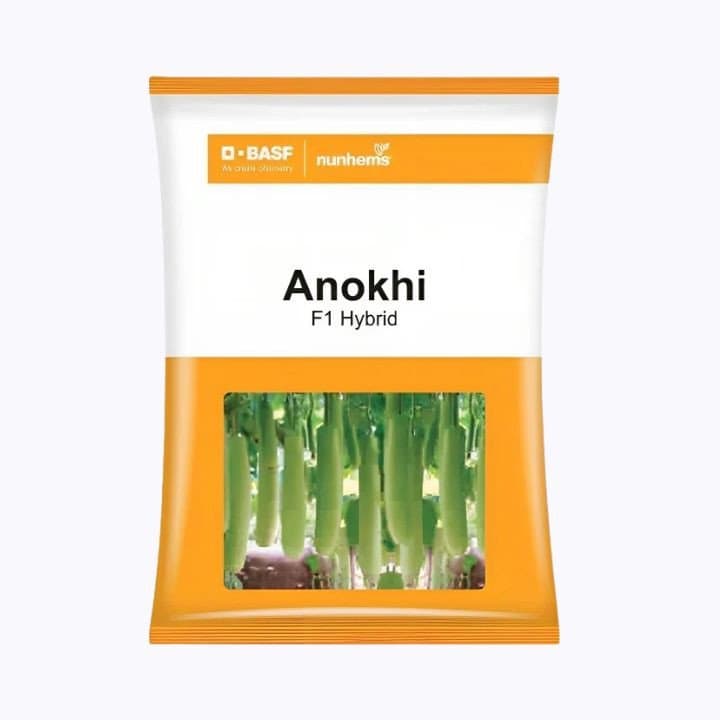 बीएएसएफ ननहेम्स अनोखी एफ१ हायब्रीड दुधी भोपळ्याच्या बियाणे
