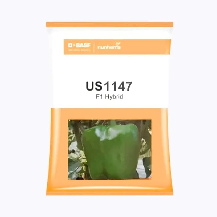 BASF ನನ್ಹೆಮ್ಸ್ US 1147 ಕ್ಯಾಪ್ಸಿಕಂ ಬೀಜಗಳು