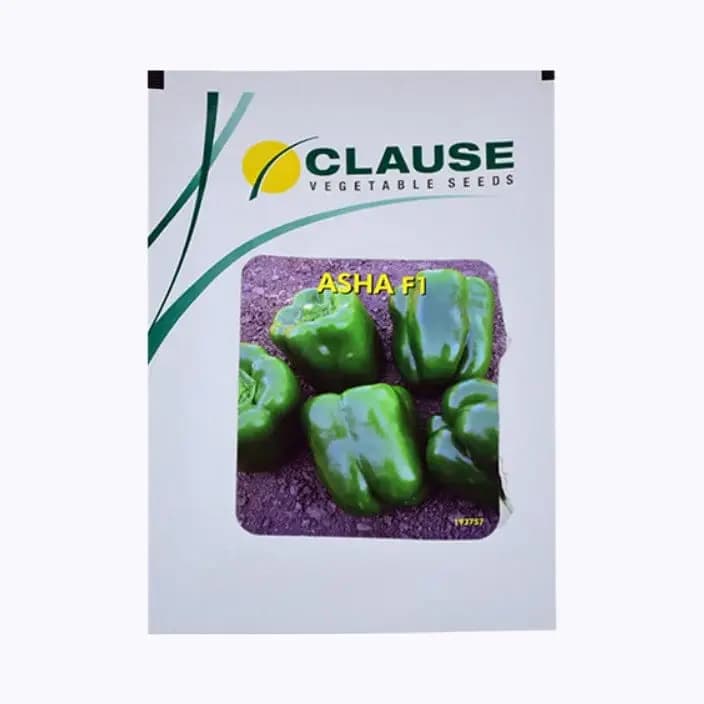 ಕ್ಲಾಸ್ ಆಶಾ ಕ್ಯಾಪ್ಸಿಕಂ ಬೀಜಗಳು