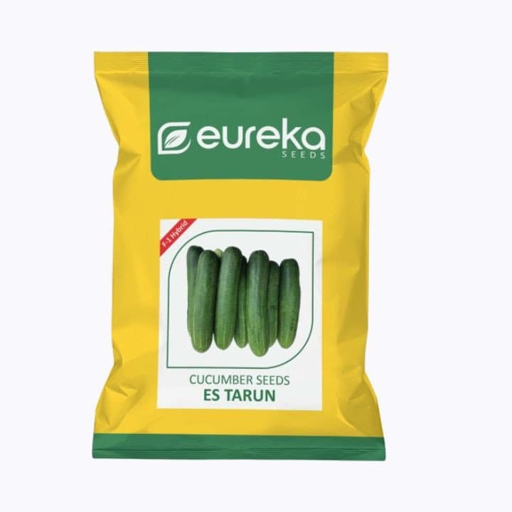 ಯುರೇಕಾ ತರುಣ್ F1 ಹೈಬ್ರಿಡ್ ಸೌತೆಕಾಯಿ ES ಬೀಜಗಳು