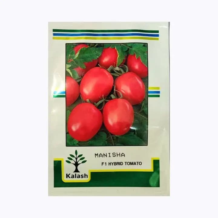கலஷ் மனிஷா தக்காளி விதைகள்