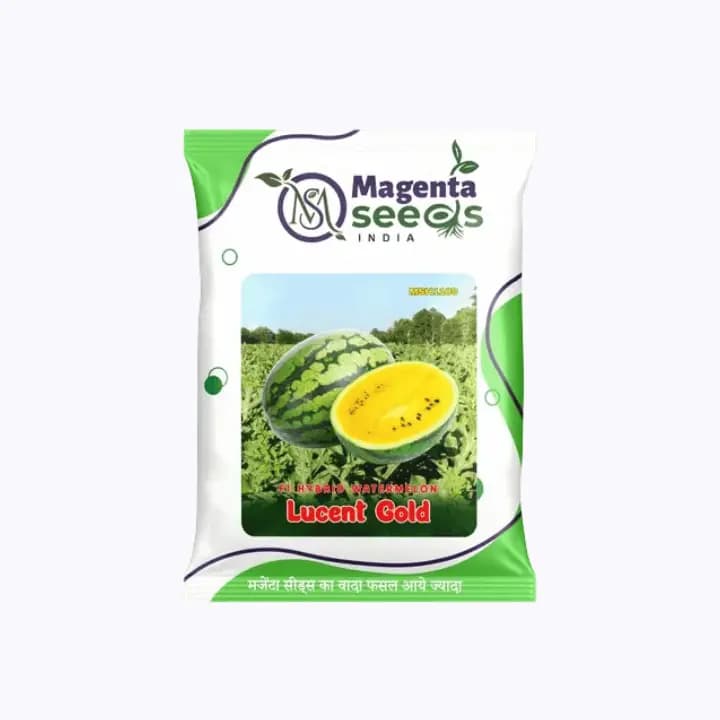 மெஜந்தா லூசென்ட் கோல்ட் ஹைப்ரிட் தர்பூசணி விதைகள்