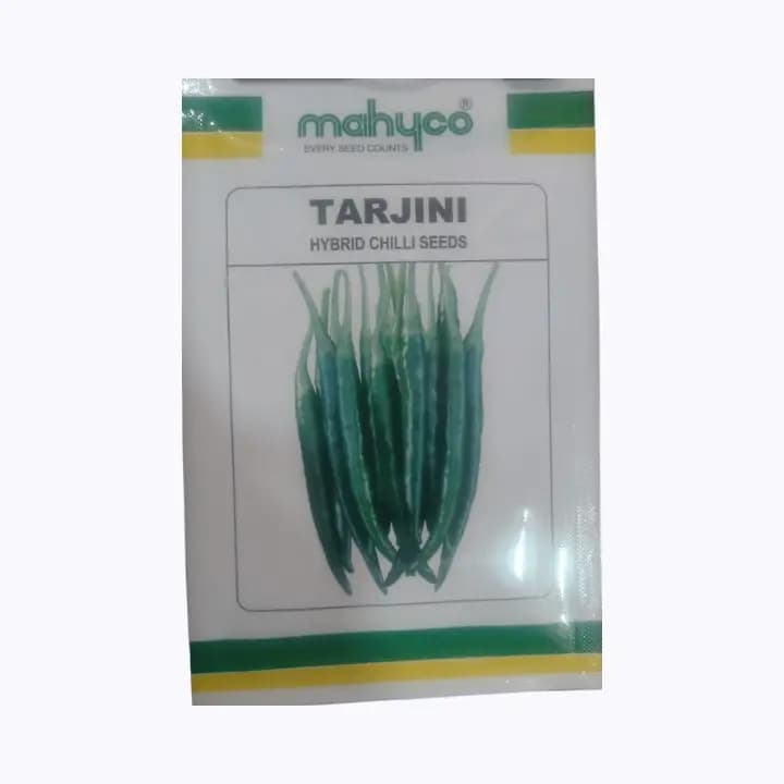மஹிகோ சில்லி டார்ஜினி