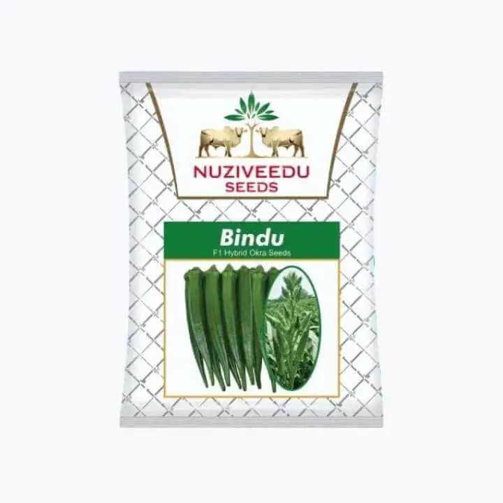 नुझीवेदू बिंदू भेंडी (भिंडी) बिया