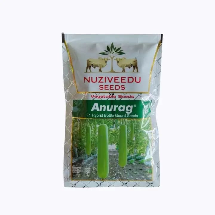 नुझिवीडू सीड्स, अनुराग एफ१ दुधी भोपळ्याच्या बिया
