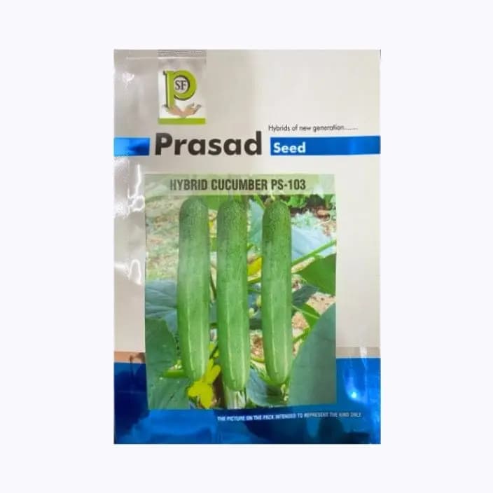 பிரசாத் பிஎஸ்-103 வெள்ளரி விதைகள்