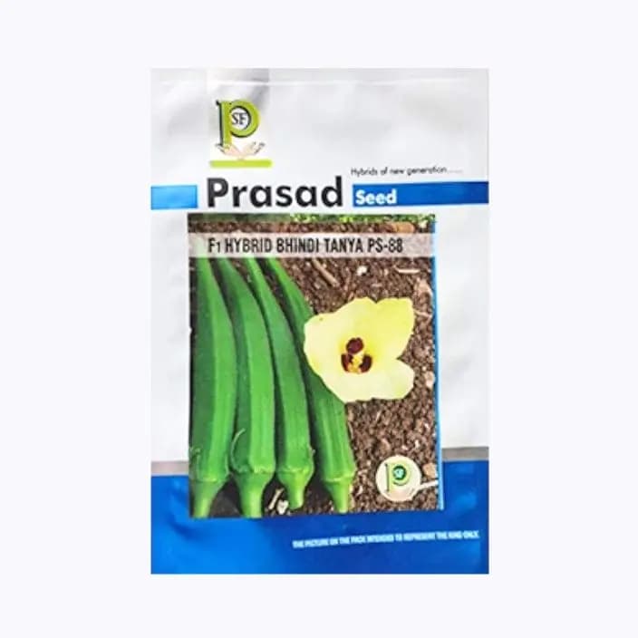 प्रसाद तान्या PS-88 भिंडी सीड्स